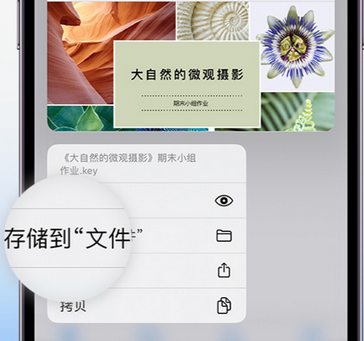 剑河apple维修中心分享iPhone文件应用中存储和找到下载文件