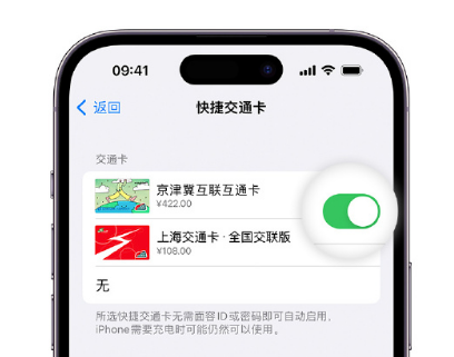 剑河apple维修点分享iPhone上更换Apple Pay快捷交通卡手绘卡面 