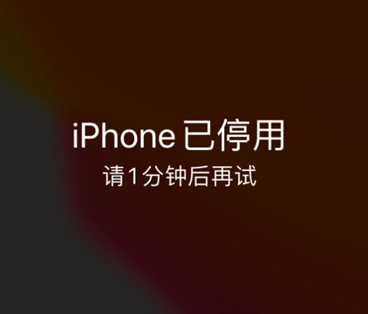 剑河苹果手机维修分享:iPhone 显示“不可用”或“已停用”怎么办？还能保留数据吗？ 