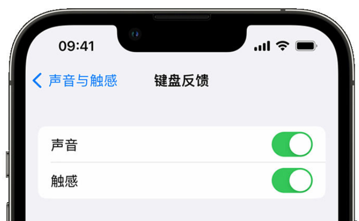 剑河苹果手机维修分享iPhone 14触感键盘使用方法 