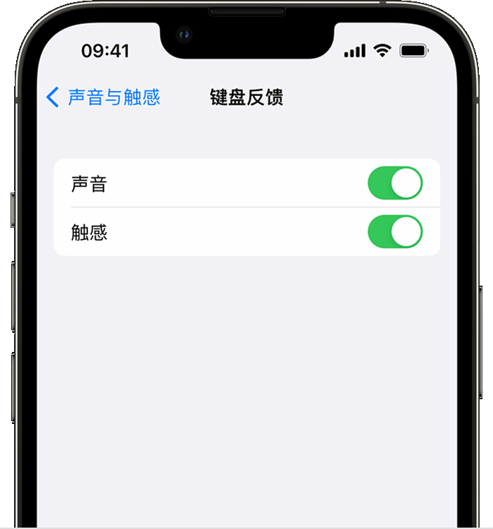 剑河苹果14维修店分享如何在 iPhone 14 机型中使用触感键盘 