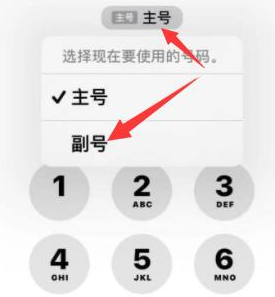 剑河苹果14维修店分享iPhone 14 Pro Max使用副卡打电话的方法 