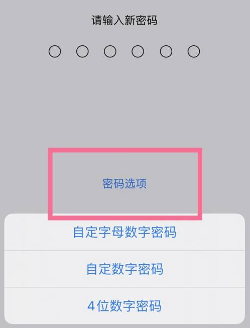 剑河苹果14维修分享iPhone 14plus设置密码的方法 