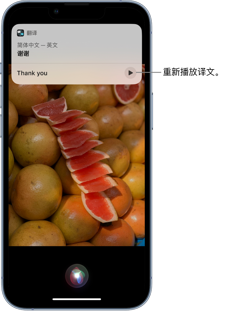 剑河苹果14维修分享 iPhone 14 机型中使用 Siri：了解 Siri 能帮你做什么 