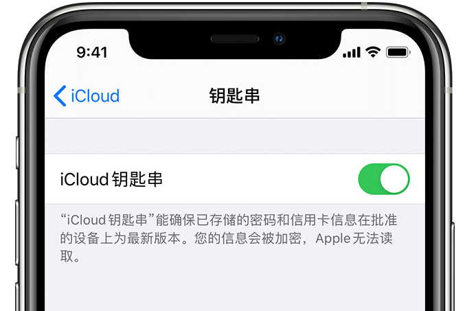 剑河苹果手机维修分享在 iPhone 上开启 iCloud 钥匙串之后会储存哪些信息 