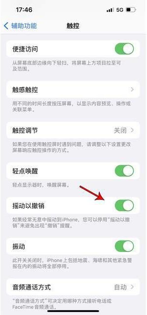 剑河苹果手机维修分享iPhone手机如何设置摇一摇删除文字 