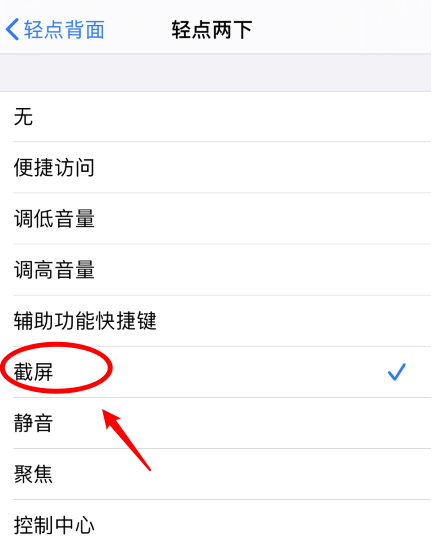 剑河苹果手机维修分享iPhone12如何启用双击截屏 
