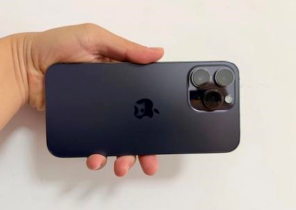 剑河苹果维修点分享iPhone 14 Pro Max黑屏少见故障盘点 